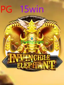 InvincibleElephant